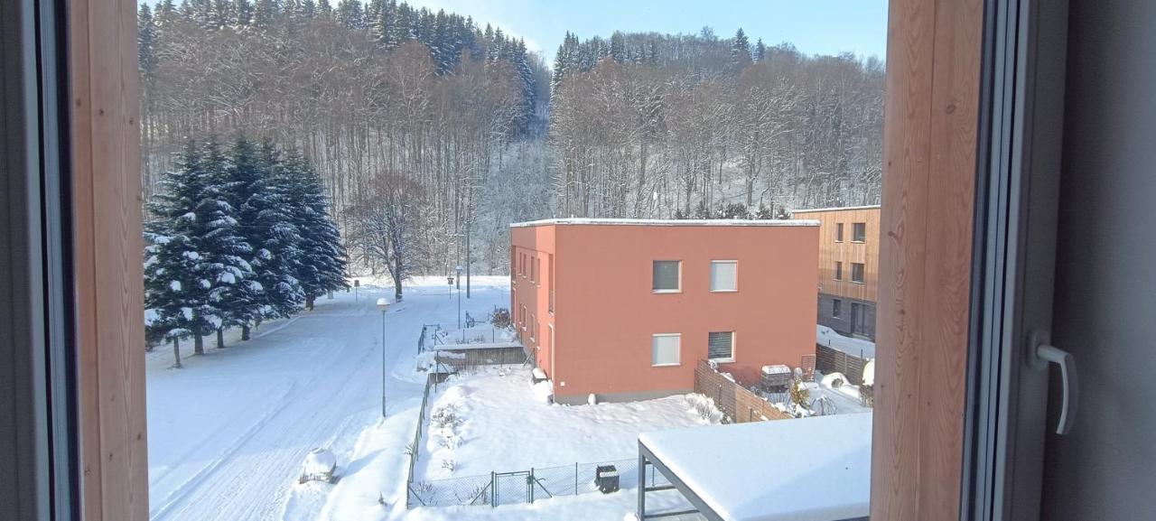 Apartman Nely Свобода-Над-Упоу Экстерьер фото